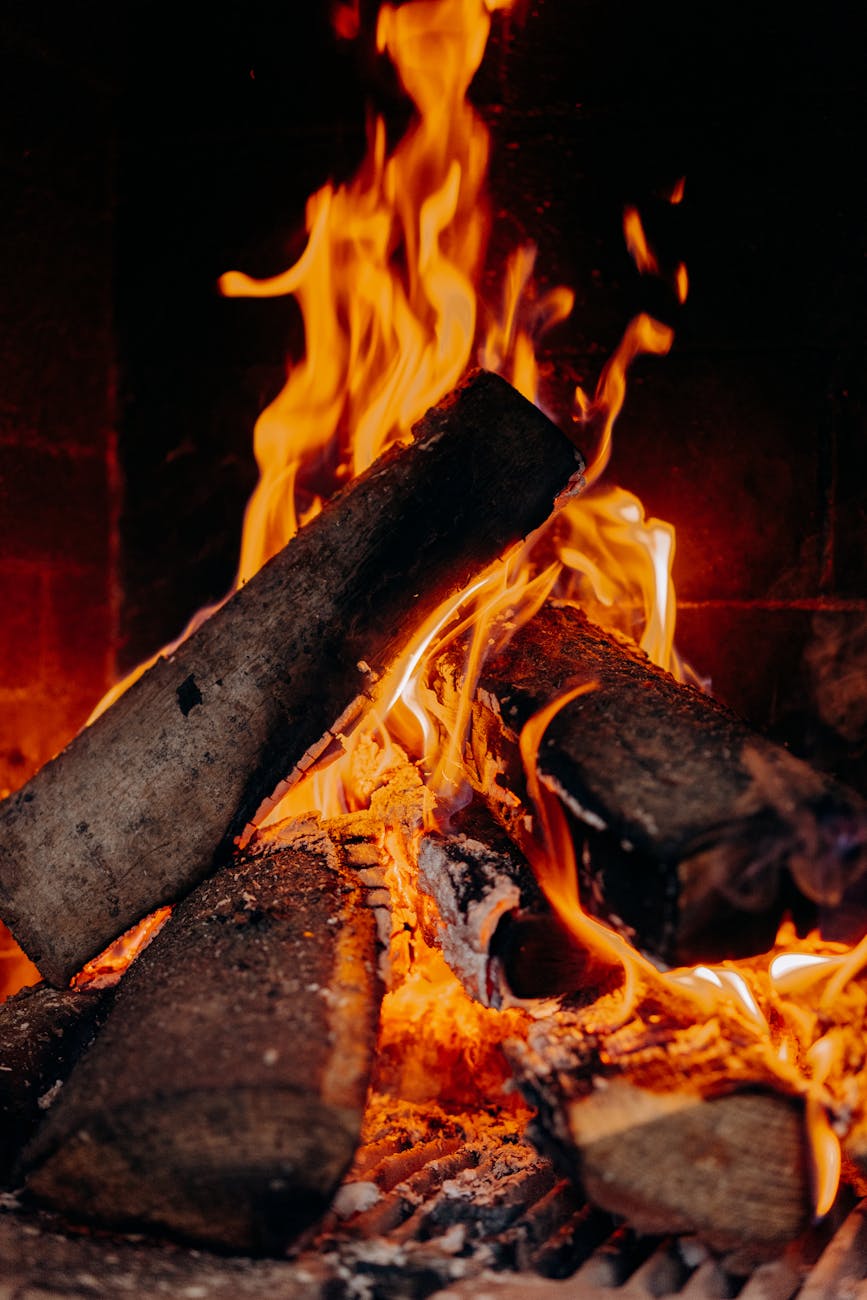 burning wood on fire pit